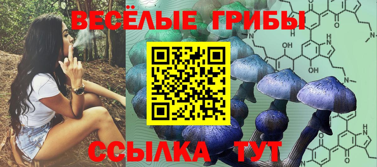 Галлюциногенные грибы Magic Shrooms Свободный