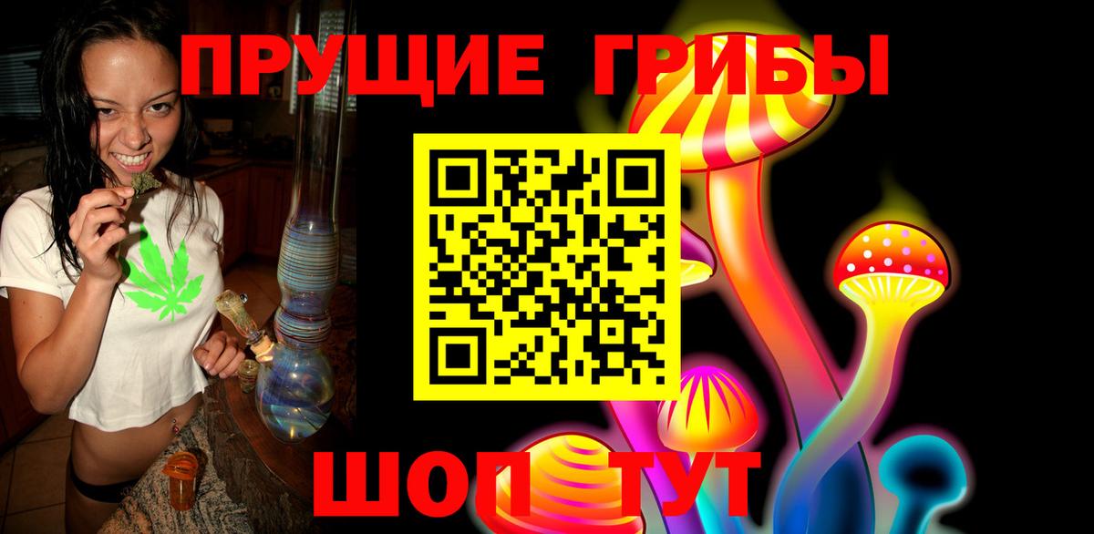 Галлюциногенные грибы Cubensis  Галлюциногенные грибы GOLDEN TEACHER  Свободный  Вход с VPN 